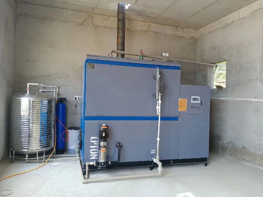 蒸汽加熱集裝罐效果翻倍，利浦頓燃?xì)庹羝l(fā)生器171℃高溫蒸汽B