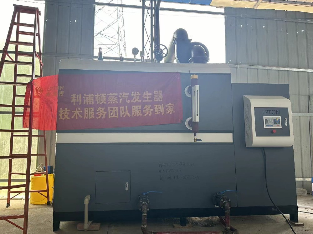 洗滌行業(yè)專用利浦頓1噸生物質蒸汽發(fā)生器