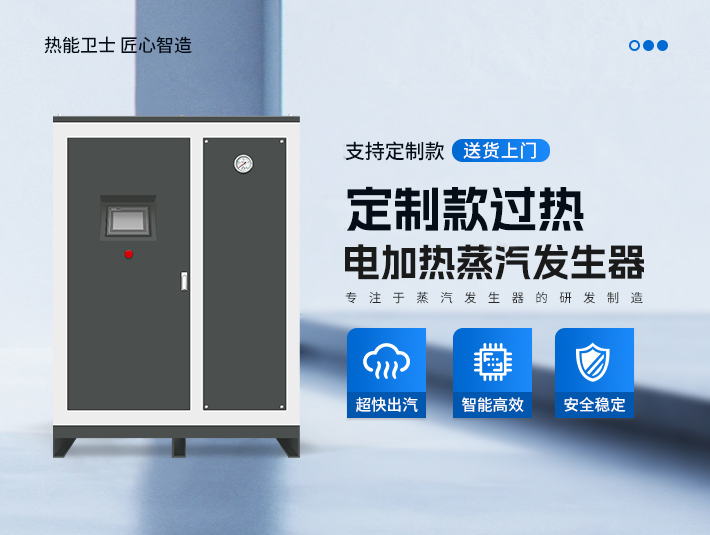 定制款過熱蒸汽發(fā)生器