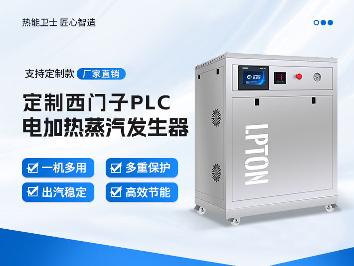 定制款西門子PLC蒸汽發(fā)生器