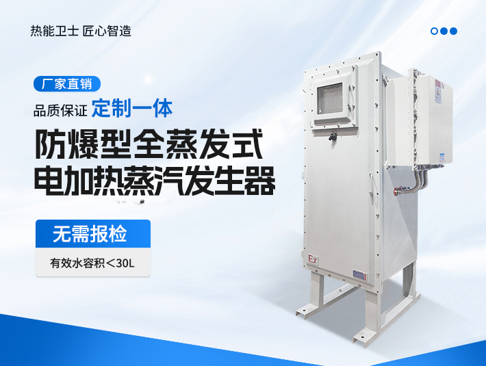 定制一體防爆全蒸發(fā)式電蒸汽發(fā)生器