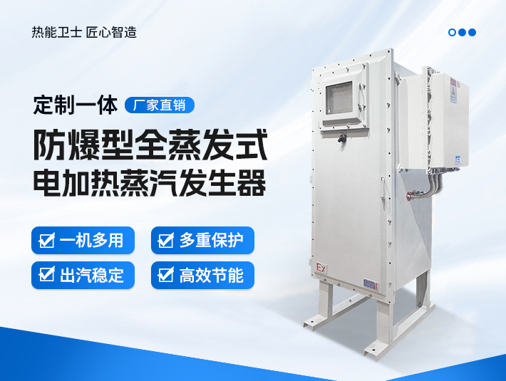 定制一體防爆全蒸發(fā)式電蒸汽發(fā)生器