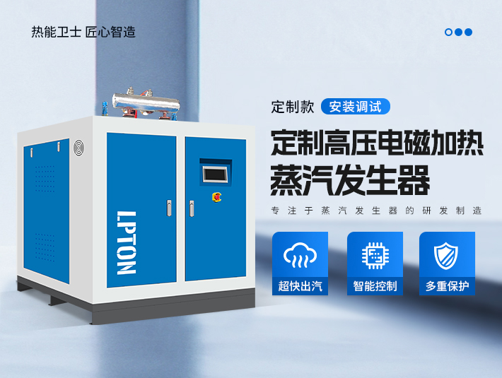 定制高壓電磁加熱蒸汽發(fā)生器