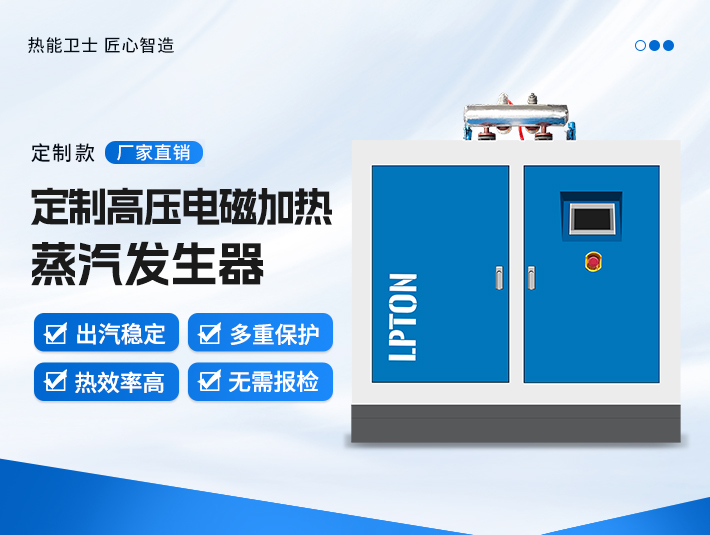 定制高壓電磁加熱蒸汽發(fā)生器