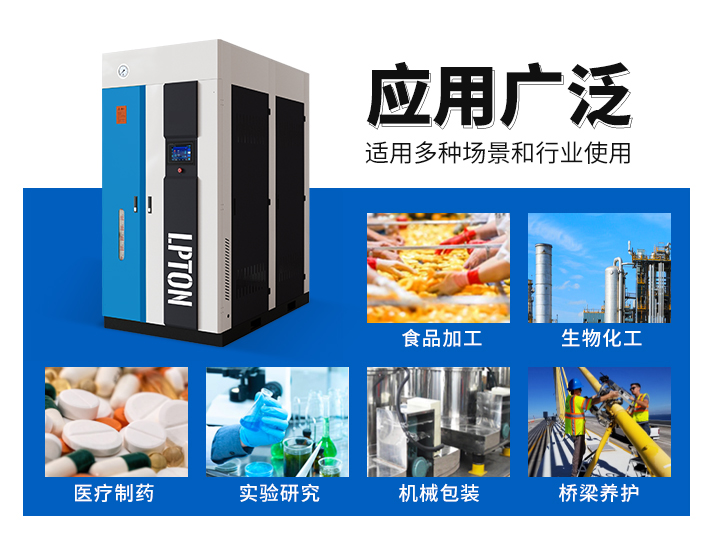 1.0t全預(yù)混燃?xì)庹羝l(fā)生器